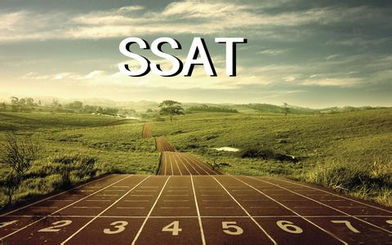 SSATԇҊߴ`^(q)